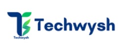 Techwysh Services & Sols Pvt Ltd.