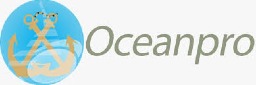 Ocean Professionals Nigeria Ltd