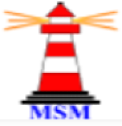 PT. Menara Suar Maritim