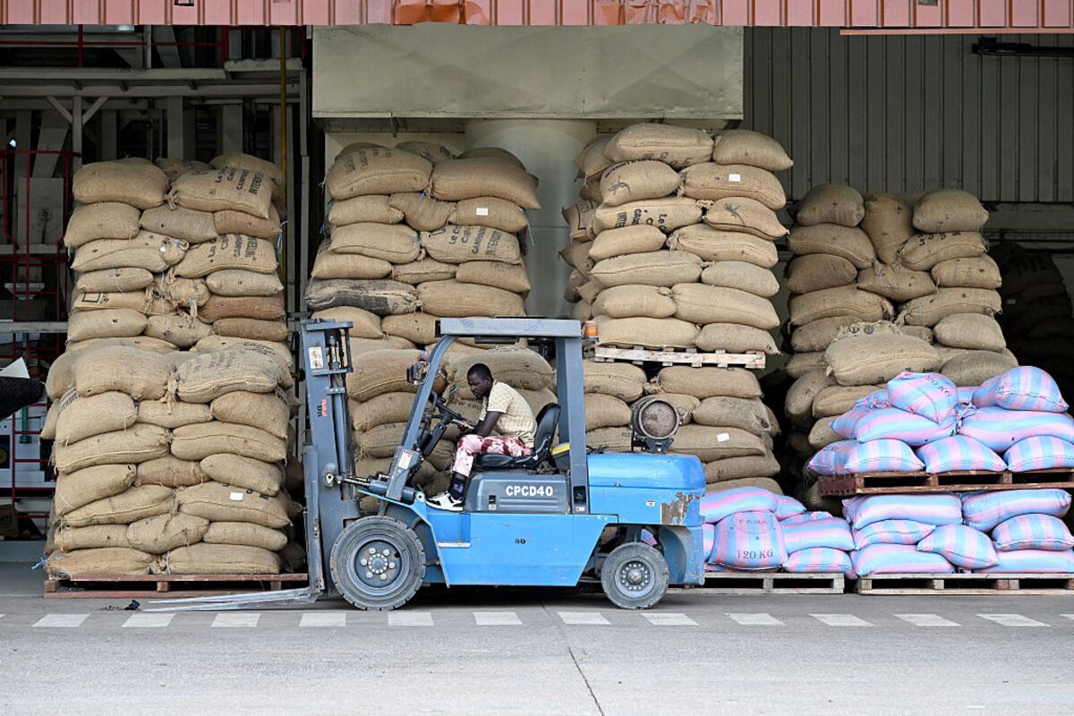 Cocoa Piles Up At Ivory Coast Ports As Buyers Face Cash Shortage photo