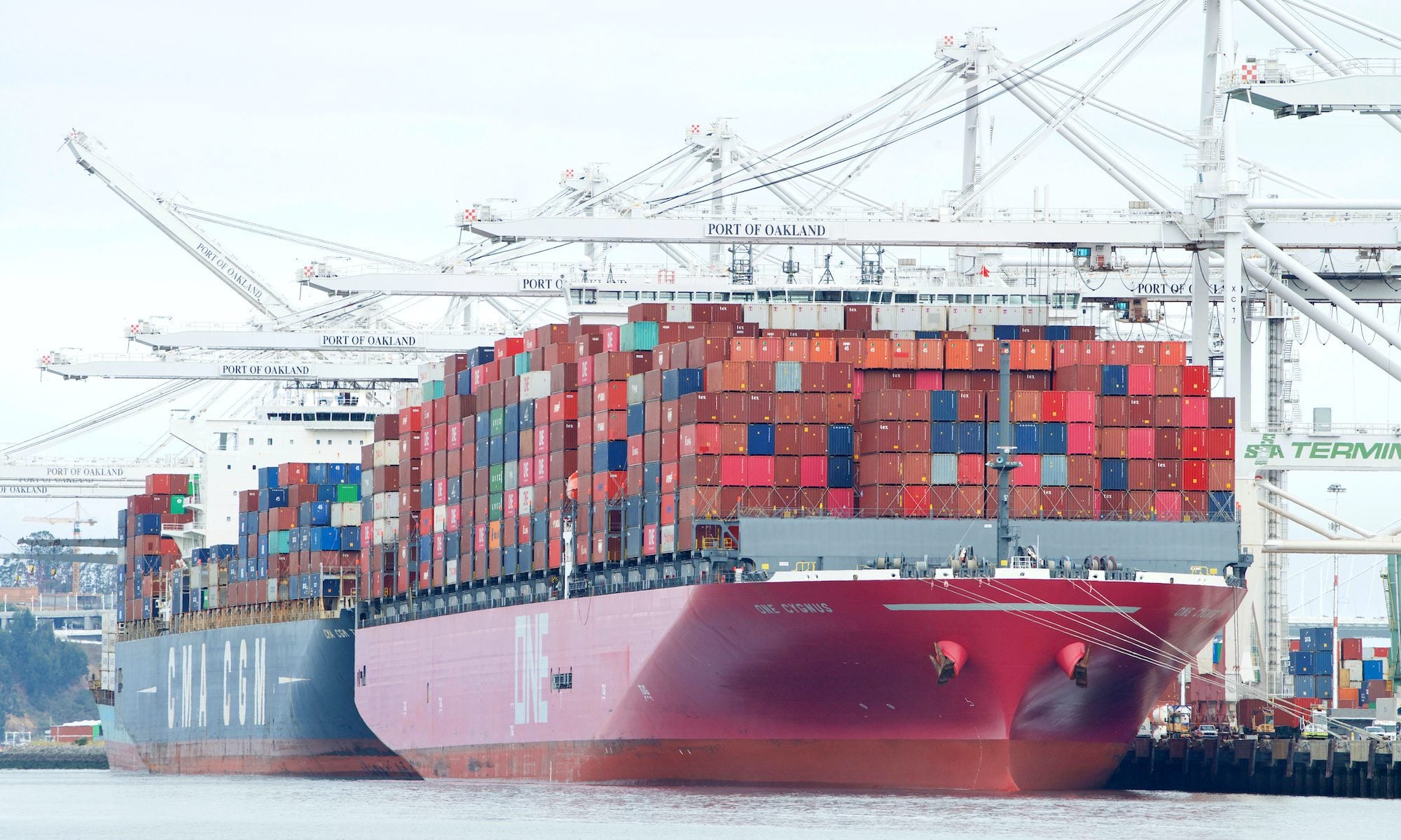 ONE Profit Plunges 92% as Geopolitics and Overcapacity Squeeze Earnings photo