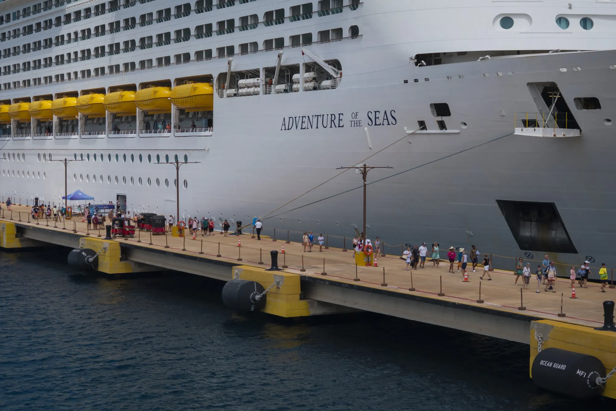 Stomach Bugs, Not Hantavirus, Are A Bigger Threat On Cruises photo