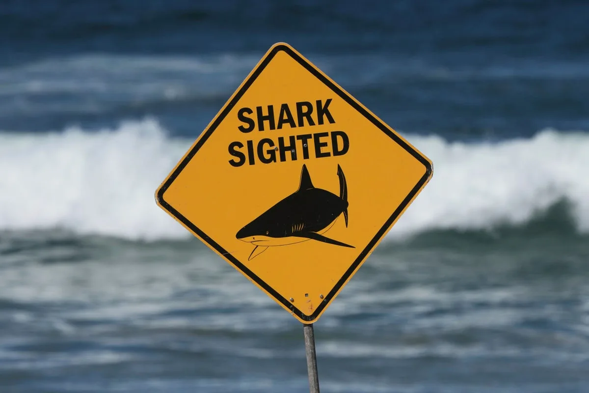 Shark Attack Kills Man On Australia’s Great Barrier Reef photo