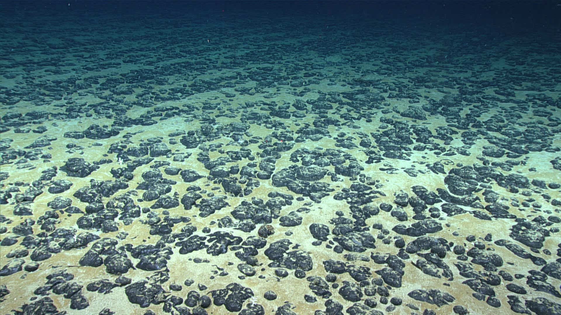 NOAA Advances Deep Sea Minerals Application in Latest U.S. Seabed Mining Move photo