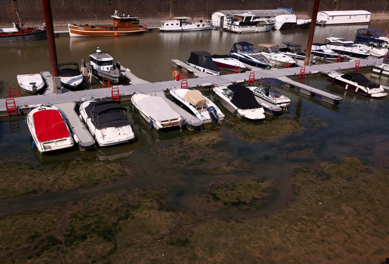 Europe’s Shrinking Rivers Curb Power Output, Transport and Company Earnings photo