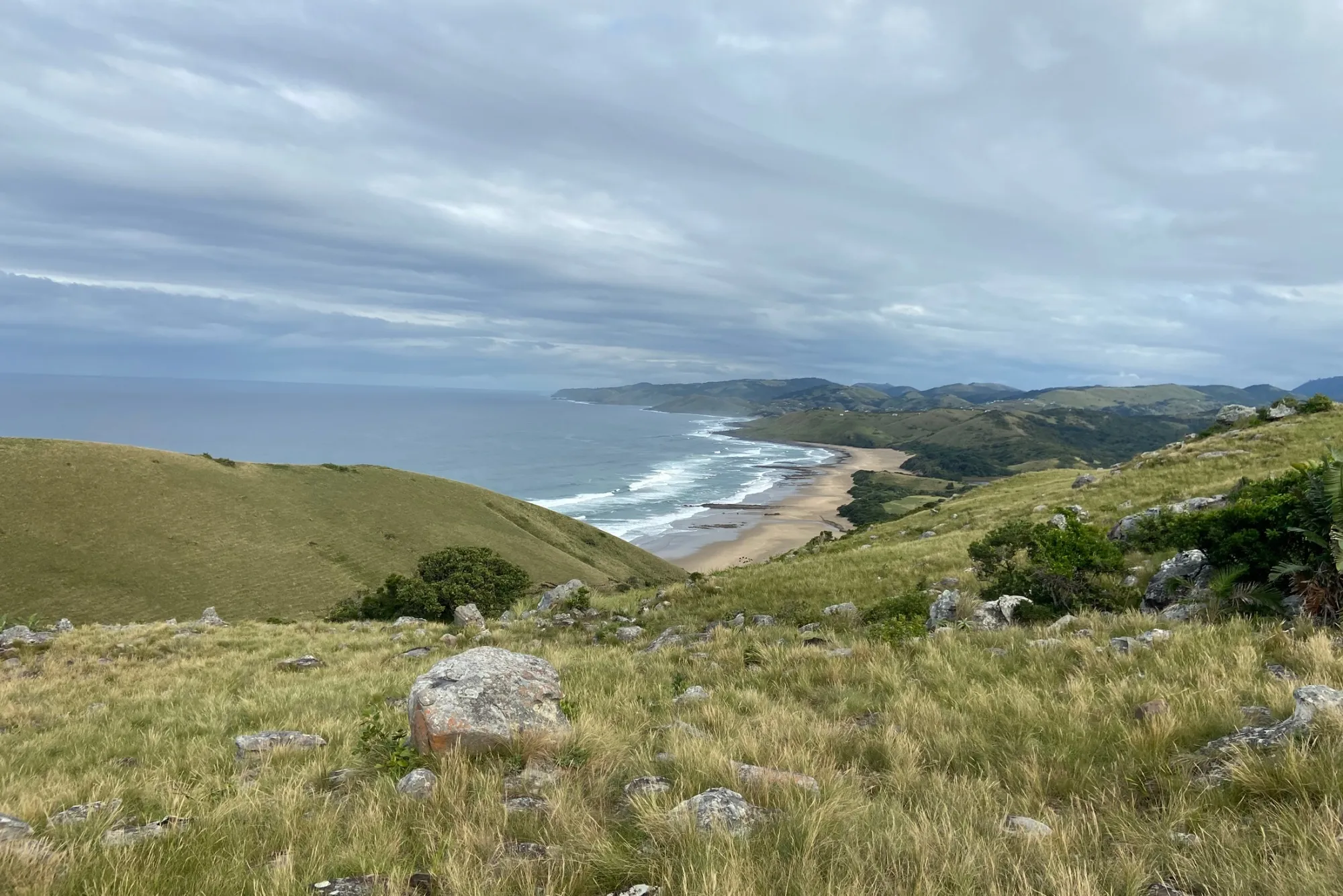 Shell Loses Lengthy Legal Fight With South African Activists photo