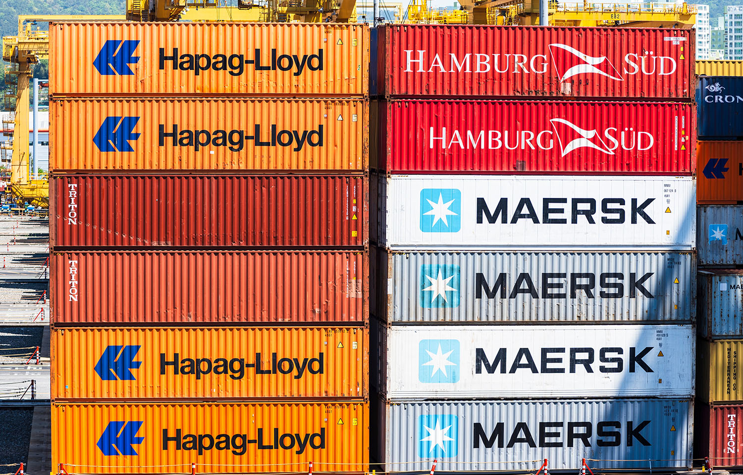 Container Shipping Returns to Suez Despite Rising Red Sea Risks photo