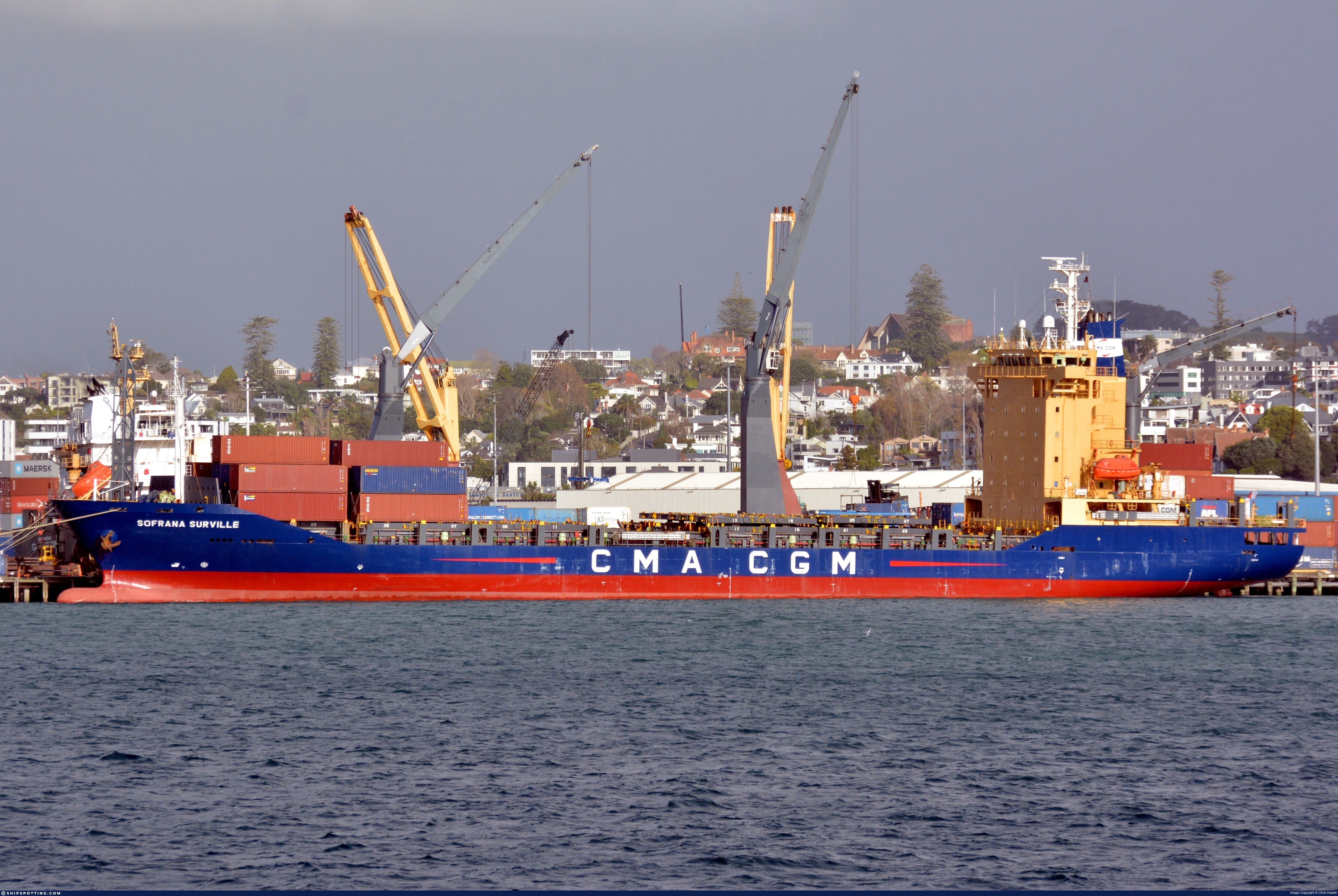CMA CGM Ship Rescues Four After Yacht Strikes Whale in South Pacific photo