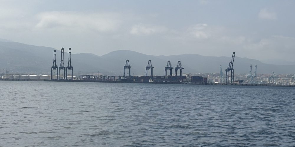 A.P. Moller Capital Takes Majority Stake in Euroports photo