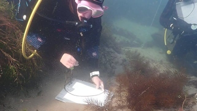 Researchers Survey Australia's Earliest Known Shipwreck