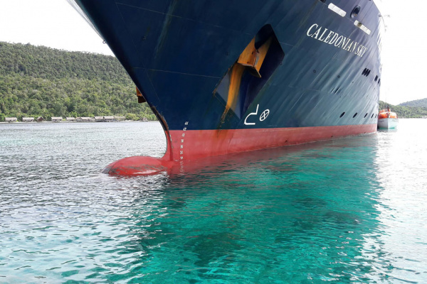 A passenger ship has crashed into a coral reef in Indonesia