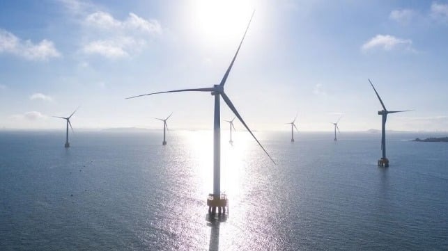 BP, TotalEnergies Scoop Up German Offshore Wind Leases in $14B Auction