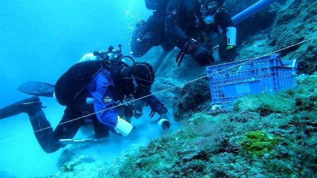 Famed Antikythera Shipwreck Yields New Treasures