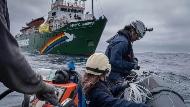 Greenpeace Seizes Longline Fishing Gear to Highlight Threat to Sharks