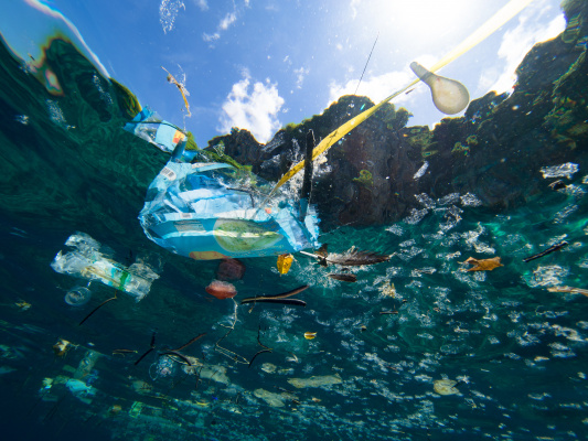 Czech scientists have taught robots to destroy plastic in the ocean