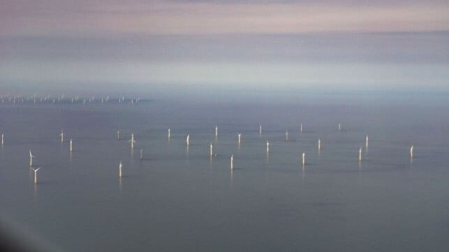 Netherlands Tests Offshore Wind Farm Shutdown to Protect Birds