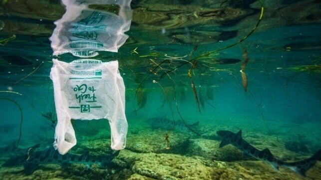 UN Opens Talks on Zero Draft Treaty on Plastic Pollution