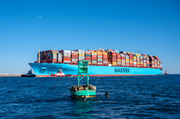 Maersk will build 12 ocean container ships on green methanol in 2024-25