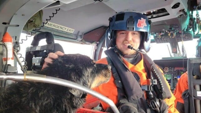 U.S. Coast Guard Crosses Border to Save a Sailor and His Dogs