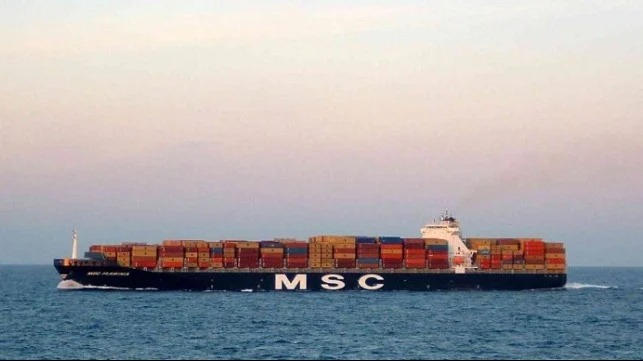 Seafarer Sentenced to 20 Years for Stabbing Death on MSC Boxship