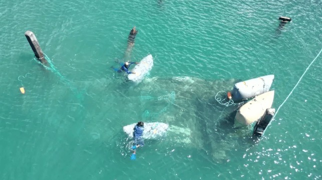 Global Diving Begins Removing Sunken Vessels From Lahaina's Harbor