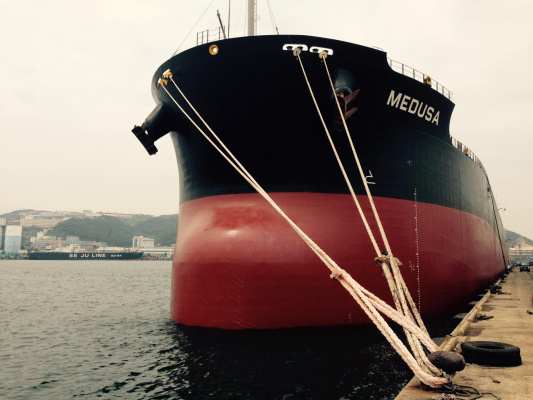 Diana Shipping Inc. Announces Direct Continuation of Time Charter Contract for mv Medusa with Cargill 