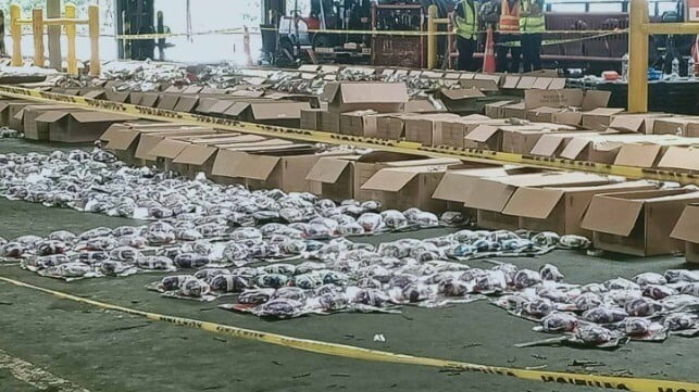 Philippine Authorities Seize $38M in Meth at Manila Container Terminal