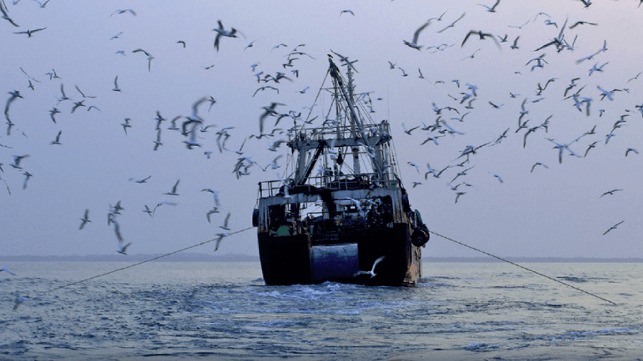 NOAA Calls Out Seven Nations for IUU Fishing