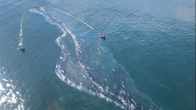 MSC and Cosco Sued for Negligence Causing California Pipeline Oil Leak