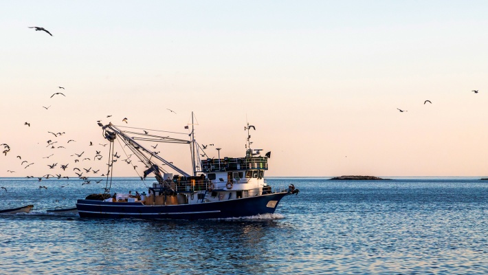 Fish production in the North Basin decreased by 11.5% in the first two months of 2021