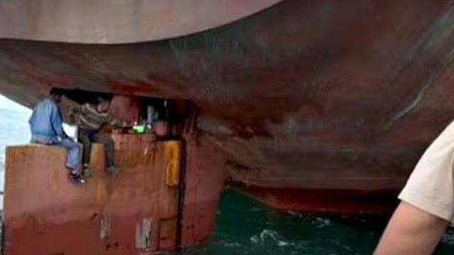 Brazil Rescues Stowaways After 13 Days Atop a Vessel's Rudder