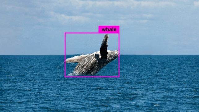 Vineyard Wind Invests in "Autonomous Lookout" to Protect Whales