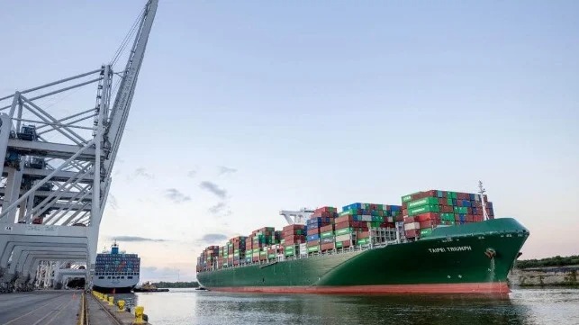 Savannah Expects to Clear Containership Backlog in Coming Weeks